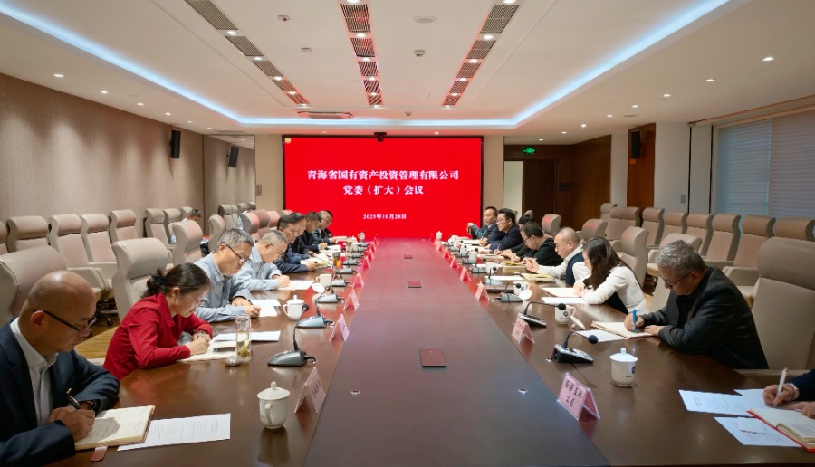 青海國投黨委召開擴(kuò)大會議傳達(dá)學(xué)習(xí)黨的二十屆四中全會精神